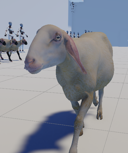 David Wehle tweet media