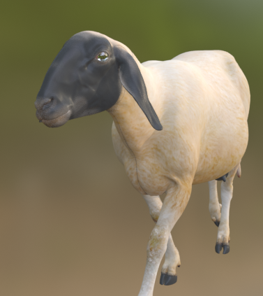 David Wehle tweet media