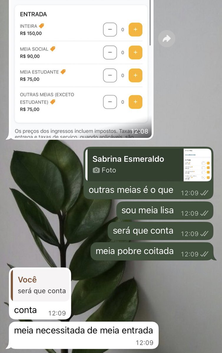 liaconde's tweet photo. outras meias exceto estudante https://t.co/30yF7RSxE6