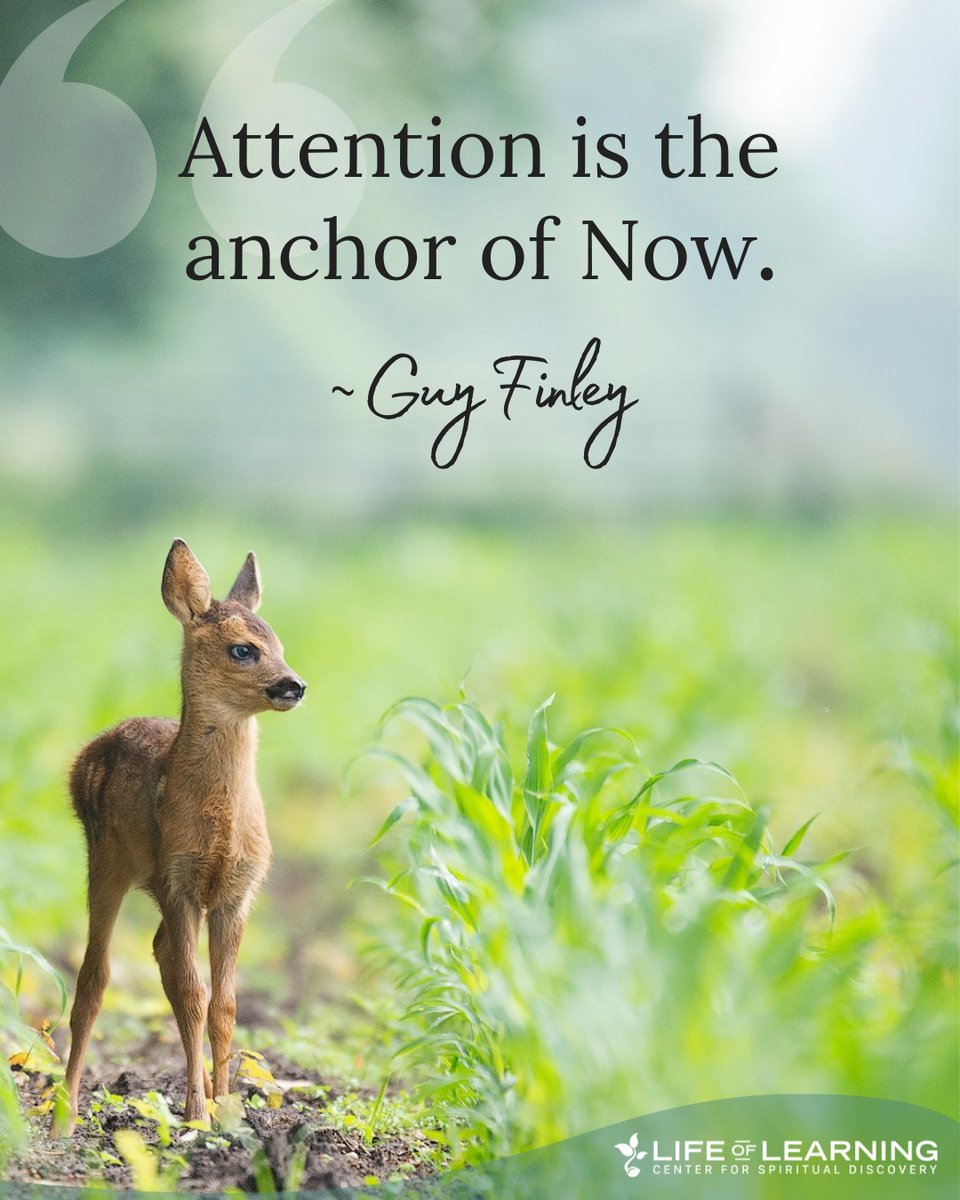 guy_finley's tweet image. &quot;Attention is the anchor of Now.&quot; ~ Guy Finley #MindfulLiving #lettinggo #guyfinley