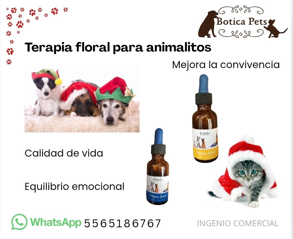 BoticaPets's tweet image. Las flores de Bach ayudan a reducir ansiedad, miedo o estrés en perros y gatos, promoviendo calma y bienestar.
WhatsApp 5565186767