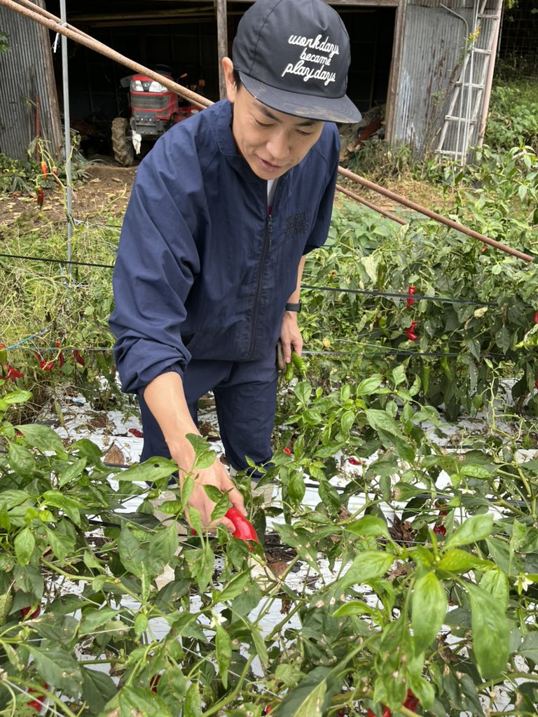 TAKUG23611214's tweet image. 奈良県宇陀市で薬狩りしてる写真です

#本田あきこ