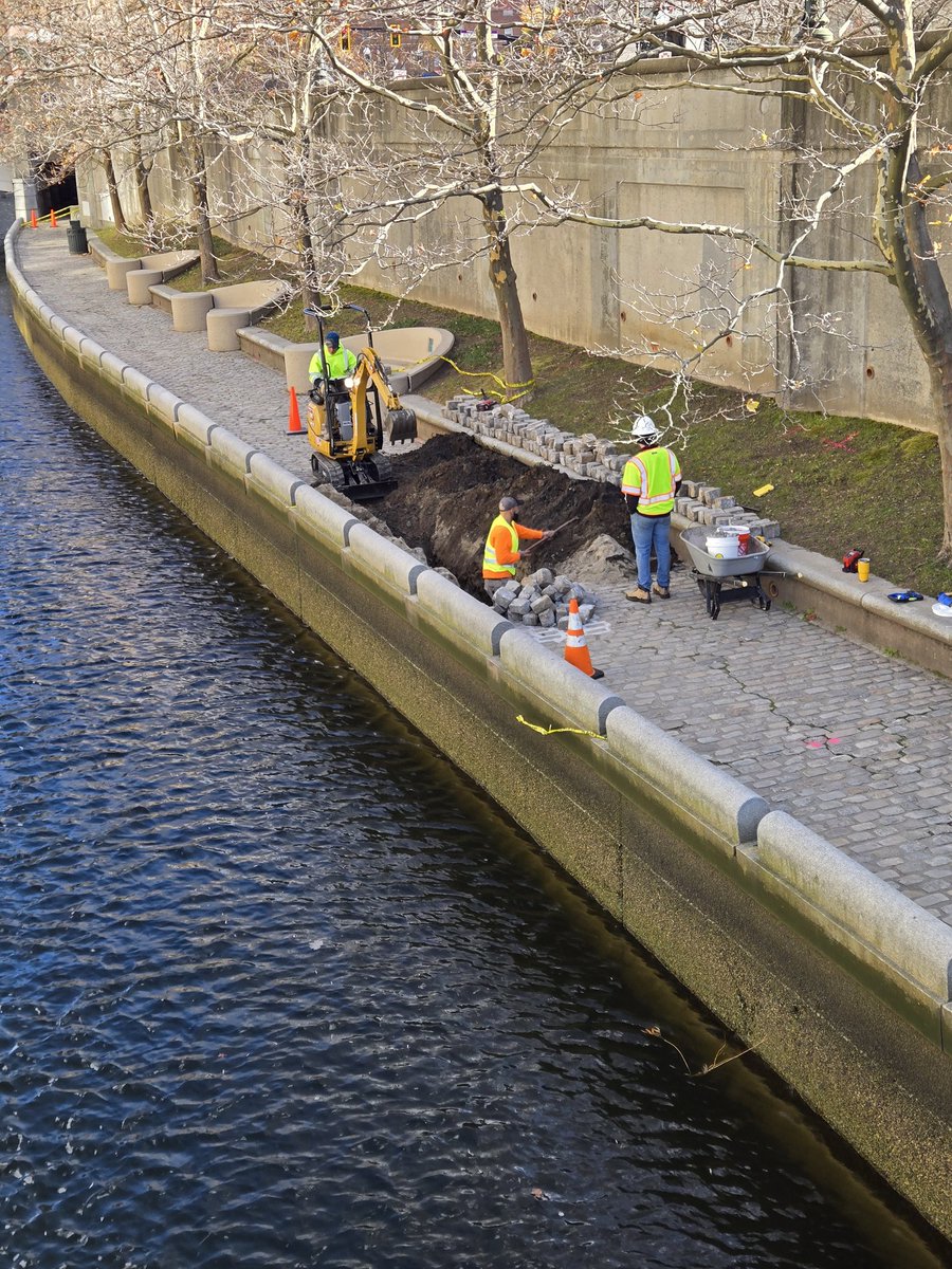 Rhode Island Red tweet media