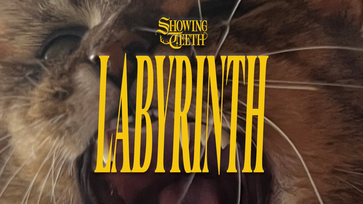 showingteeth_'s tweet image. The debut single Labyrinth is finally yours!

I hope you love this track as much as I do. There’s so much more to come, but this felt like the right introduction to Showing Teeth. Thank you so much for listening 💛

MASSIVE thank you to everyone who helped me with this song.