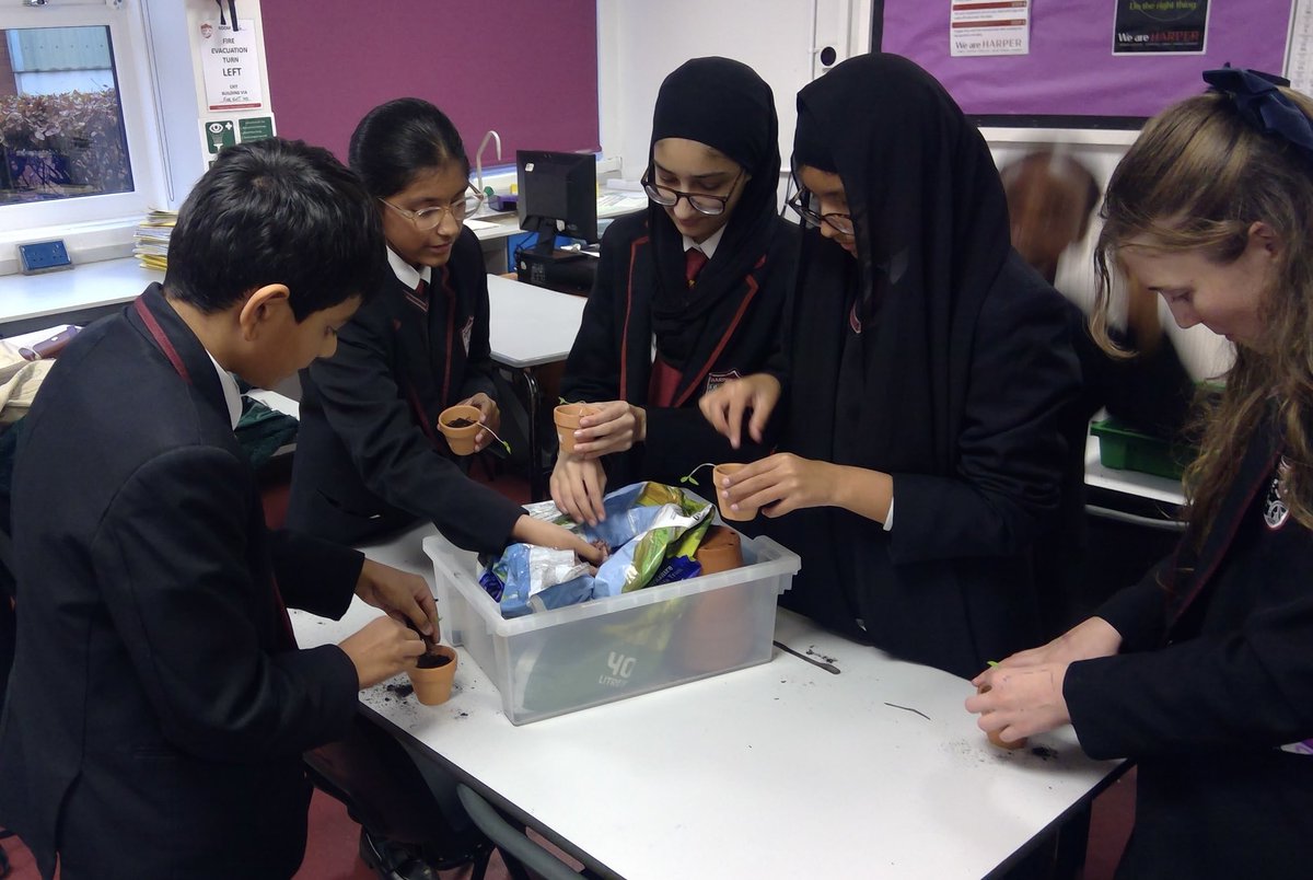 Mr Connor’s Plant club transferred their tomato plants from the seed trays to plant pots this week! The students are very excited to see them grow. <a href="/HarperGreen/">Harper Green School</a>