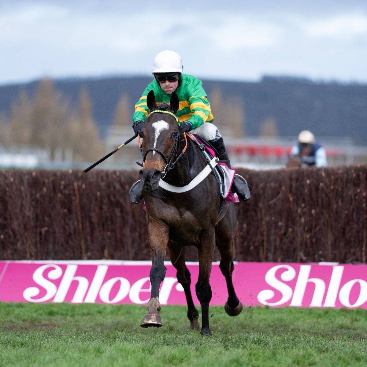 Racing Post tweet media