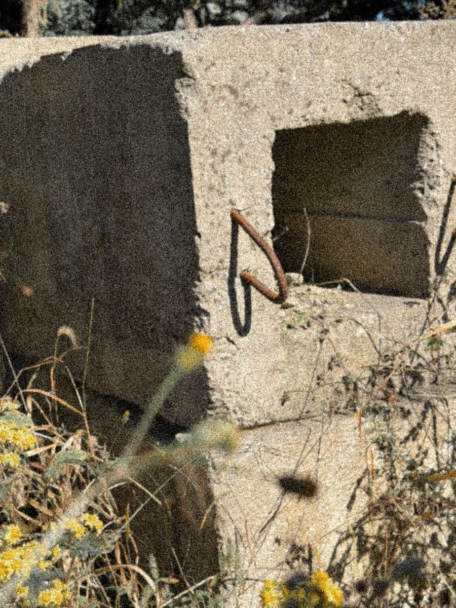 jiniretarchive's tweet image. ⠀ ⠀ ⠀ ⠀ ⠀ @ hynjinnn posted on ig!
⠀ ⠀ ⠀ ⠀ ⠀ 𝑏𝑒𝑐𝑎𝑢𝑠𝑒 𝐼 𝑙𝑖𝑘𝑒 𝑏𝑒𝑎𝑢𝓉𝓎 𝑡ℎ𝑎𝑡 𝑠𝑡𝑎𝑛𝑑𝑠 𝑜𝑢𝑡

⠀ ⠀ ⠀ ⠀ ⠀ ⠀ ⠀ ⠀⠀