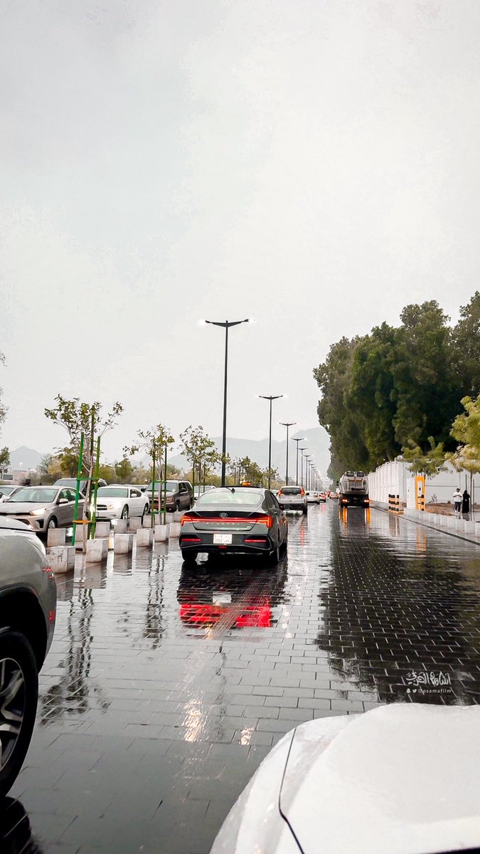 اللهم صيباً نافعاً ☔️

#امطار_المدينه