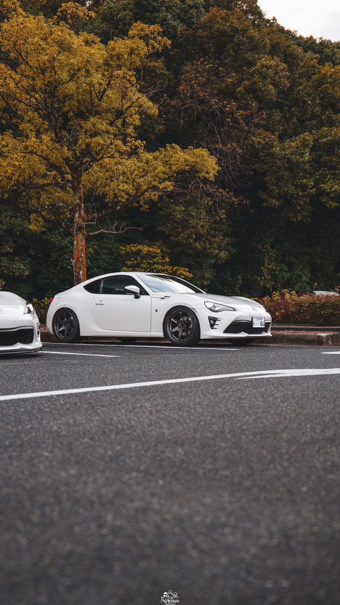 もっちページ もっち (@mocchi_zn6) / Posts / X