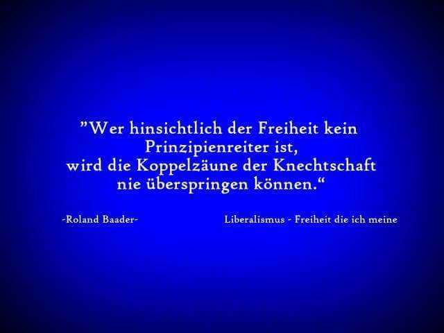 Lady Natalie (@cz_natalie) on Twitter photo 