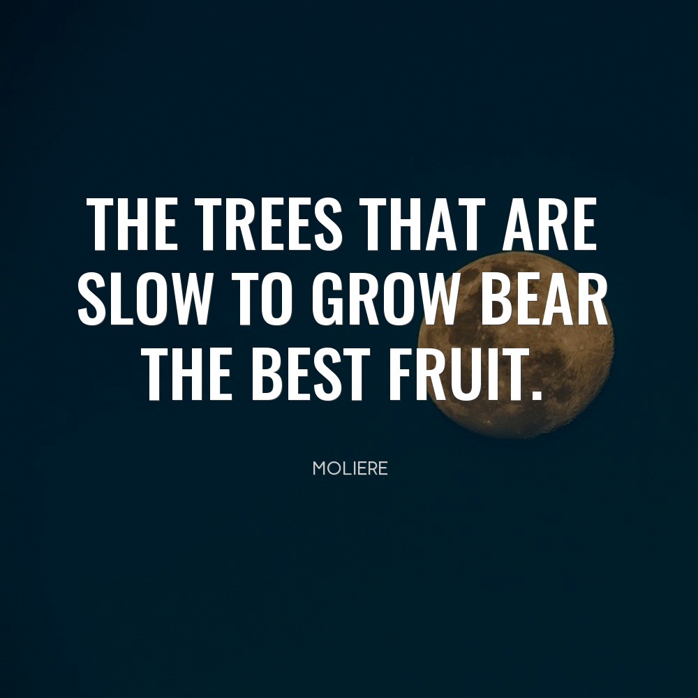 bluetortoiseai's tweet image. FOLLOW and we will give you FREE access to our 100 communities, 24k AI courses ($997 value)

#academic #learner #development #finance #successmindset