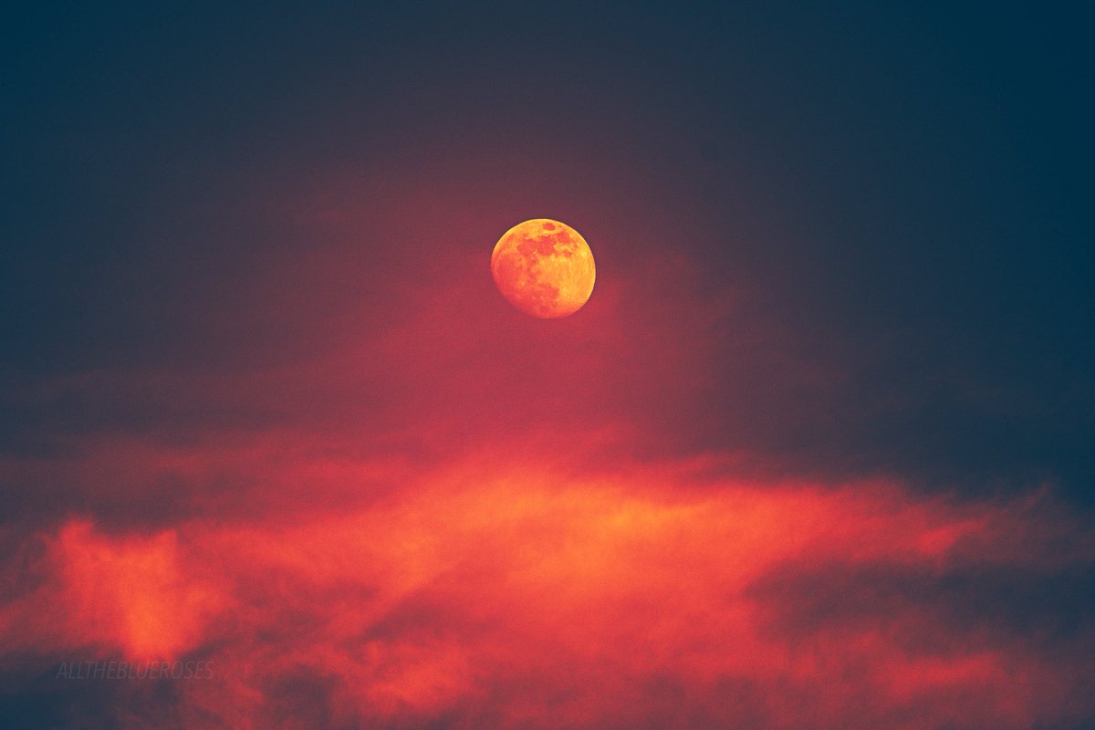 holding fire in the light