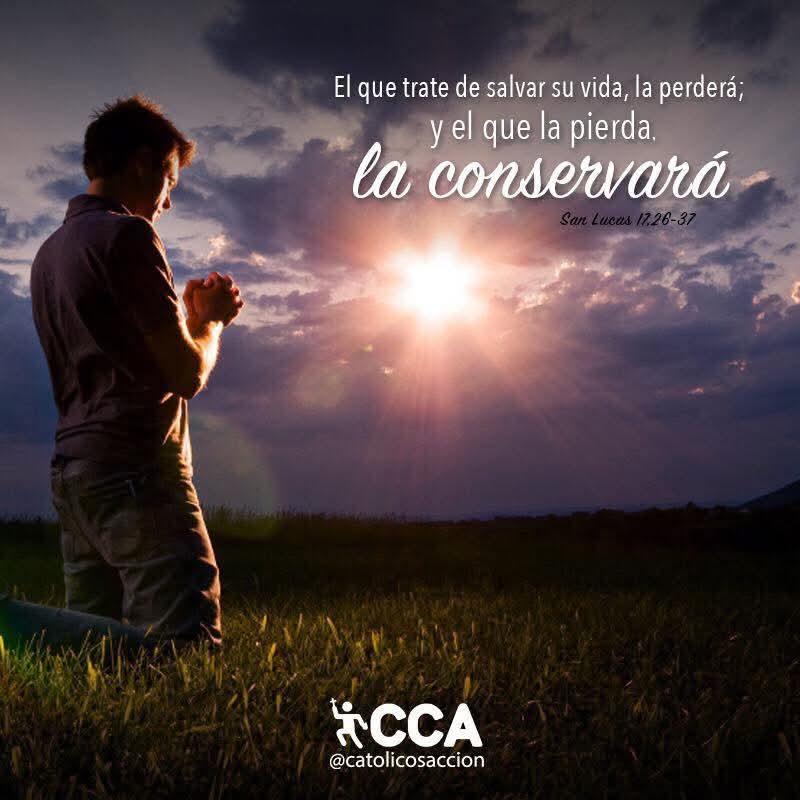 🟢 ORDINARIO, FERIA
VIERNES XXXII DEL TIEMPO ORDINARIO
"Quién intenté conservar su vida, la perderá, pero quién la pierda por mi, la conservara"
<a href="/LilianaSnchez9/">Liliana Sánchez 🇦🇷♌🦁</a> <a href="/poctavio65/">Octavio Martínez</a> <a href="/AgustnGonzlezO1/">Padre Agustín G.O</a> <a href="/Pdre_Rafa/">Padre Rafa</a> <a href="/ximetar/">Joaquin C Guardiolaﻥ</a> <a href="/jalisco52/">Unreal</a> <a href="/EliMorales0837/">Eli Morales</a> <a href="/irmaalvarez3210/">@IrmaAlvarez3210</a> <a href="/ggabins/">gabriela nuñez 🇻🇦</a> <a href="/newkike1/">@newkike</a>