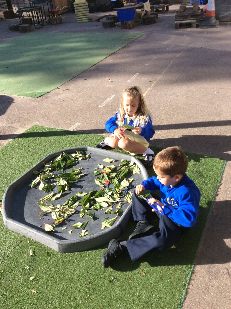 sissinghurstVA's tweet image. Learning  is so much fun in Lion class #sorting #ordering #making