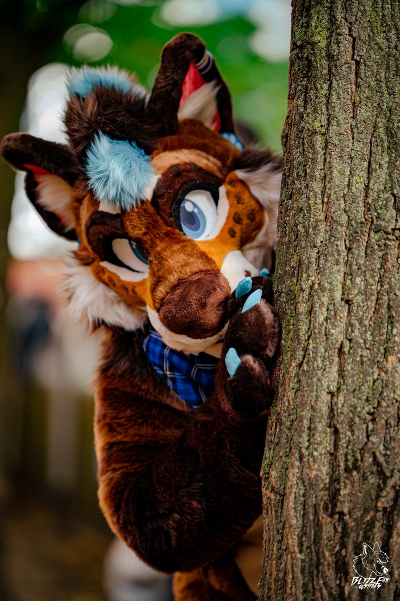 Peek a boo! #fursuitfriday 

📸 <a href="/Blitz__Fox/">🐾BlitzFox🐾 🔜 SC26</a> 
🪡 <a href="/Eelowyn/">Dragons Den Fursuits</a>