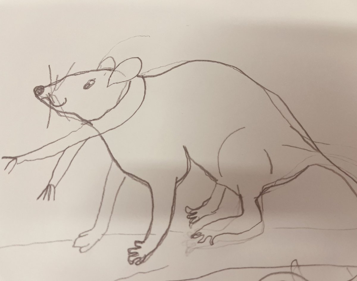 Christmas card pictures created today in art for designs for Christmas cards ☺️❤️