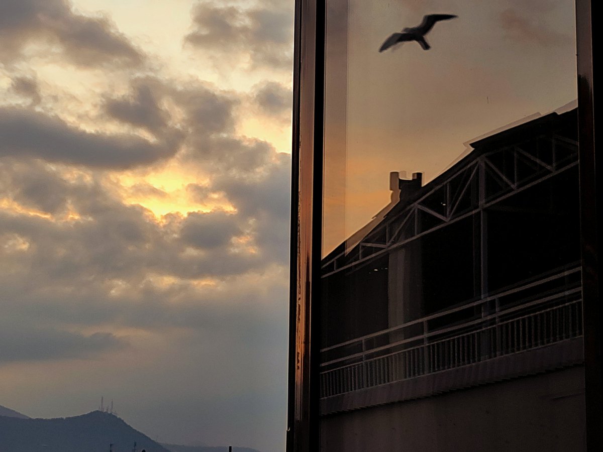 'Bir pencere yeter bana bir tek pencere 
Bilince ve bakışa ve suskunluğa...'

Furuğ Ferruhzad