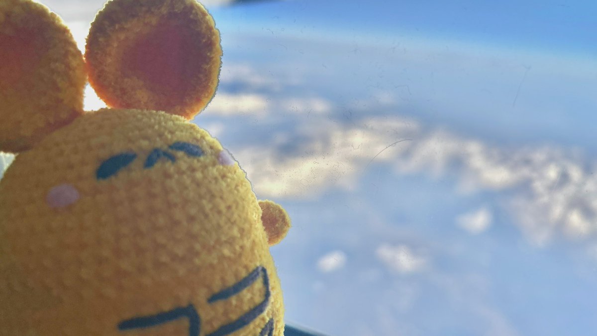 くじらくん くじら🐋🫧 on X