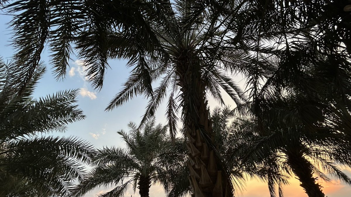 eeip_'s tweet photo. وامطرت ديارنا اليوم 🤍🤍 https://t.co/2N64zGkL3G