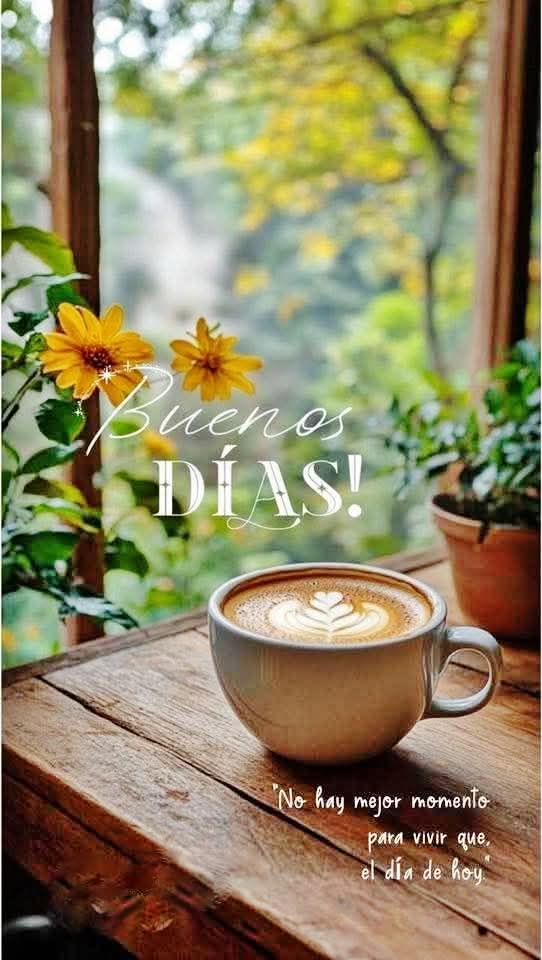 SusiSedas's tweet photo. @MarioIsao @LilianaSnchez9 https://t.co/3VrFgfm7Ce