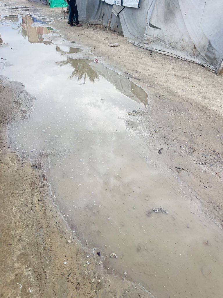 Mohamed30565487's tweet image. This is our life in the tents… this is our reality every single day. The truth is bigger than any words, and what we are living through is harder than anything that can be described.
chuffed.org/project/120676…
@Louis_Allday @SanaSaeed