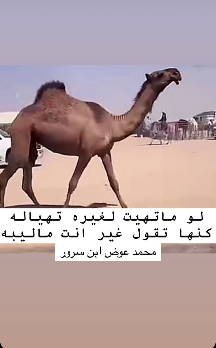 عاشق الوضحا .. al Bader 🅱️ tweet media