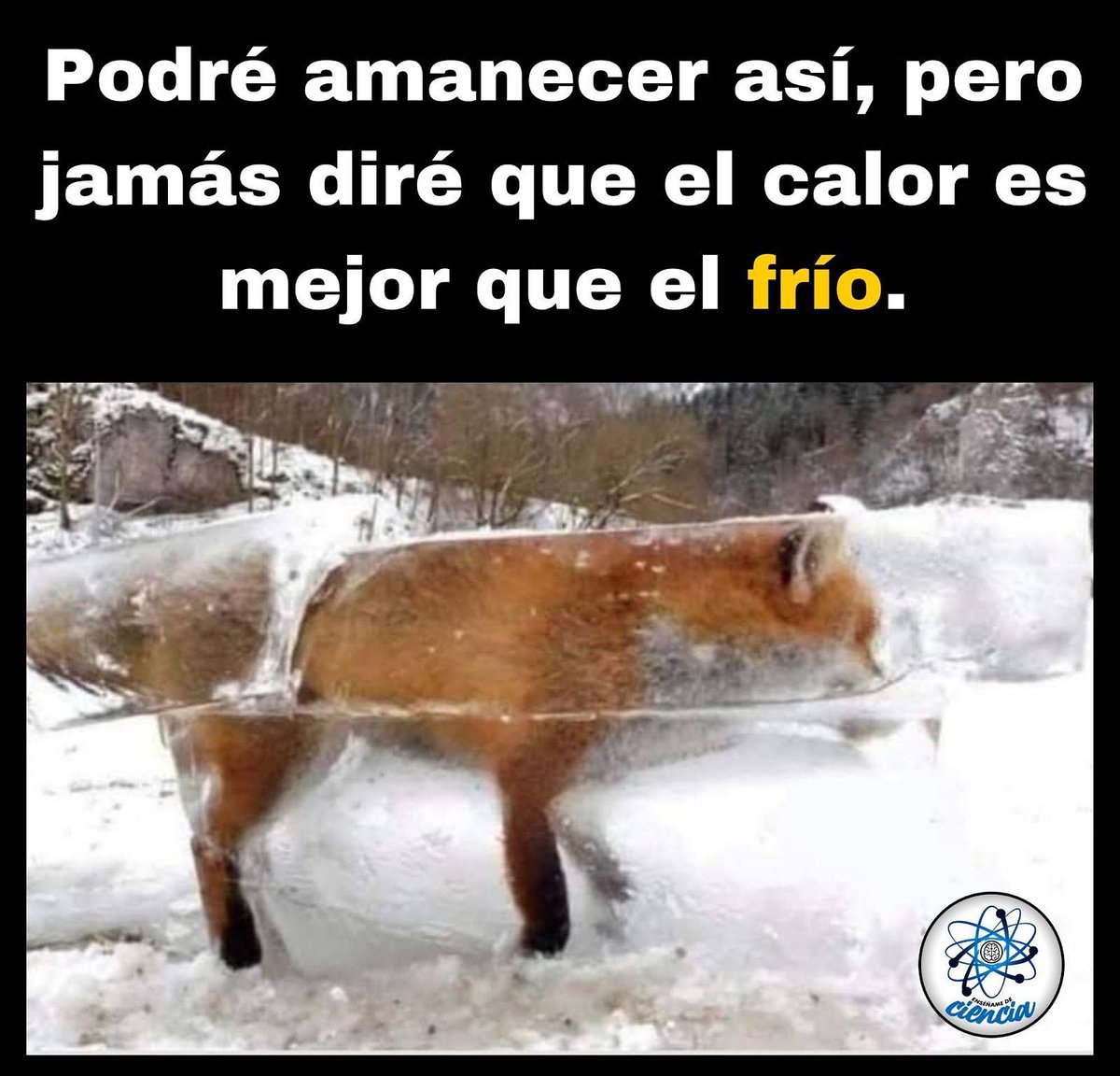 EnsedeCiencia's tweet photo. 🙂‍↔️ https://t.co/a0cvdIEkkH