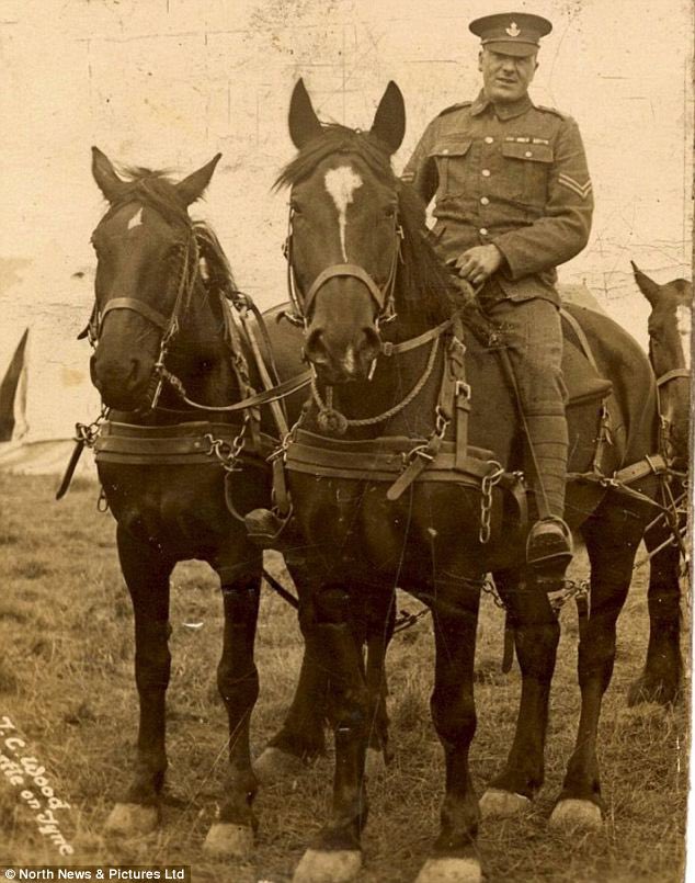 SobbinWammin's tweet photo. Sergeant George Thompson, a WWI transport soldier with the 7th Battalion Durham Light Infantry, defied orders to shoot his troublesome but loyal horse when it fell ill with skin disease at Fricourt; instead, he secretly built a stable, nursed it back to health, and kept it through the war. Surviving shellfire, dead bodies, and hardships together, Thompson earned the Military Medal for bravery, documented their bond in a 1928 diary for his daughter, and later worked at Vaux Breweries until his 1958 death.