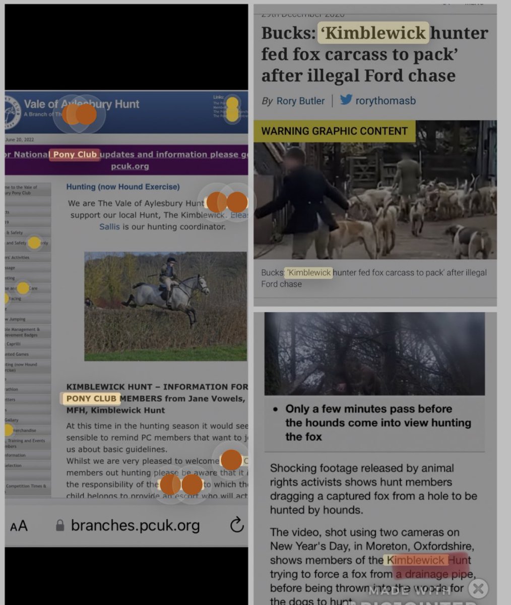 herbieharry's tweet image. This is largely down to @ThePonyClub which actively encourages kids into hunting (mounted, but the same cruelty) and is, outrageously, a registered charity @ChtyCommission @EmmaforWycombe @JoshMacAlister @AlexJJNorris