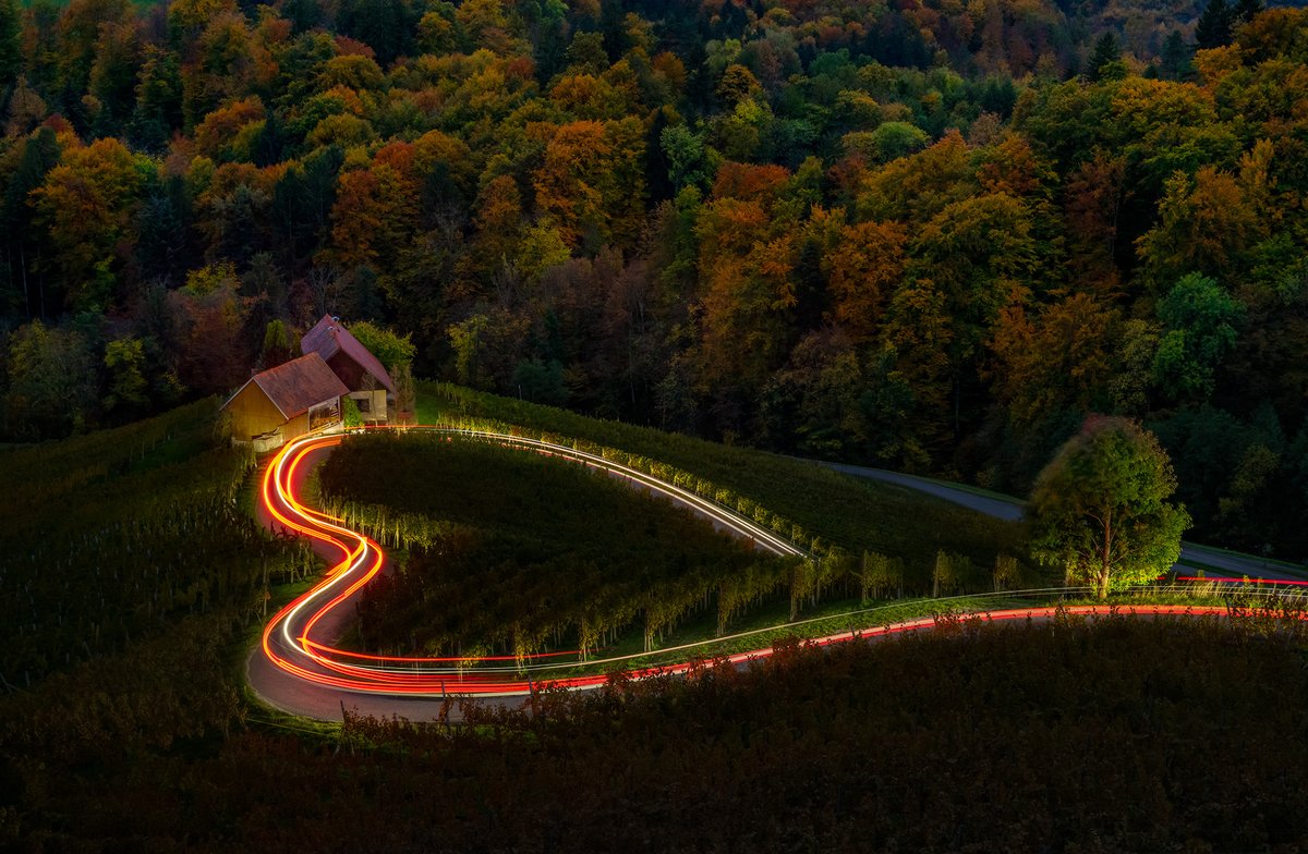 The heart of #Slovenia. Not AI, but a road with intention, winding through a golden vineyard. The first image holds the warmth of mid-afternoon; the second, the hush of dusk, &amp; the final shot, captured by Mark Constable, me drawing #lighttrails in the van into the falling night.