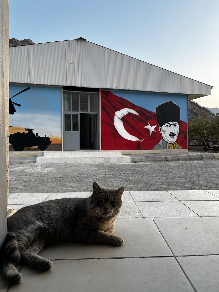 omerrrcantorun's tweet photo. Rıfkı baba https://t.co/Sx3ATnNeCc