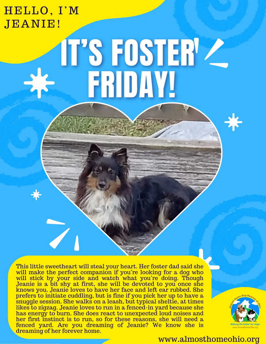 It's another #FosterFriday! Were you thinking that maybe having a cuddle buddy around sounds nice? Well, Jeanie just might be your girl! This little fluffball just loves having her ears scritched. 🐾❤️