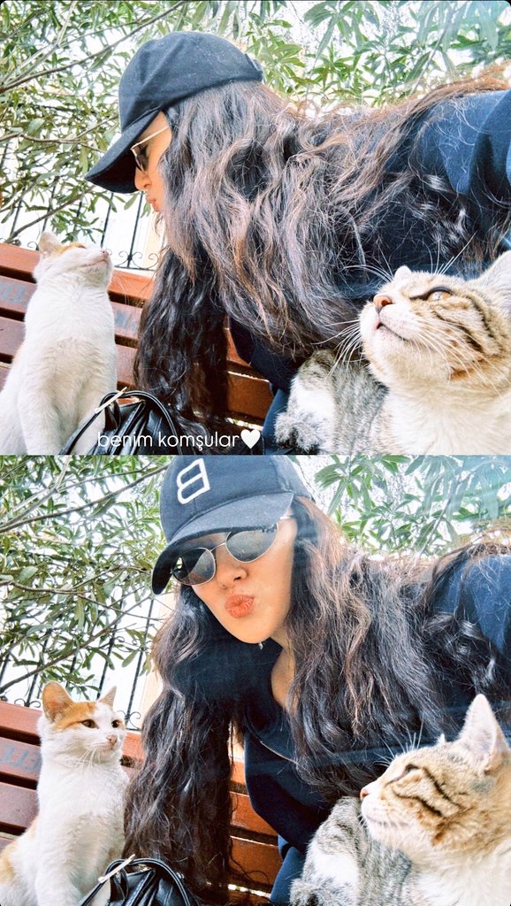 ouyyy komşuların da böylesiii 😻
yerim ben sizi minnoş bebekler 🐾🤍