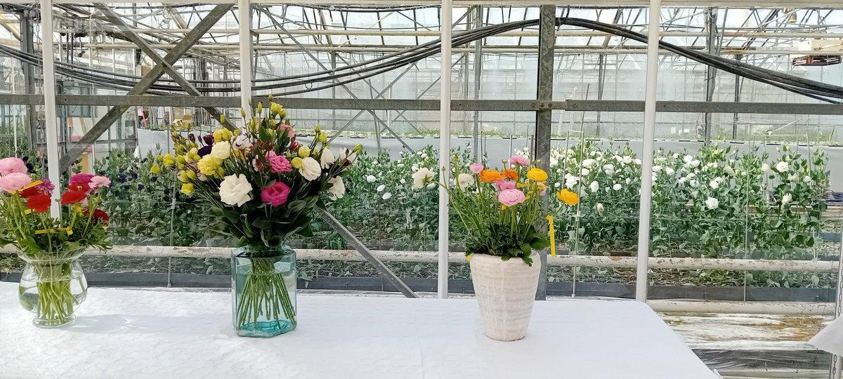 Toulon Provence Mediterranée tweet media