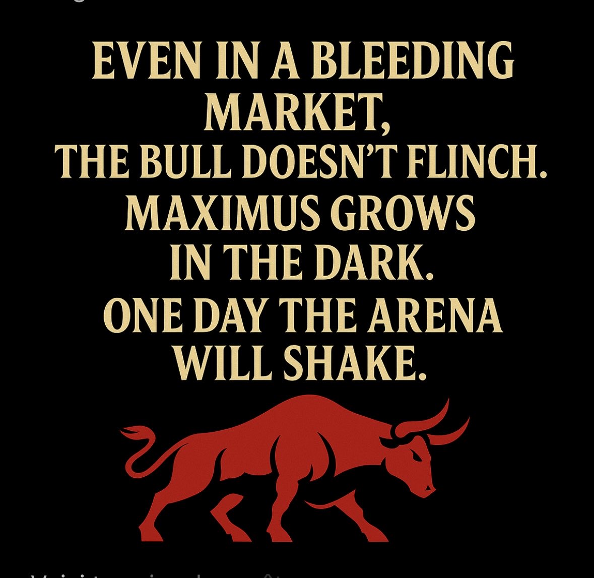 #MXM #MAXIMUS #SOL #MemeSeason