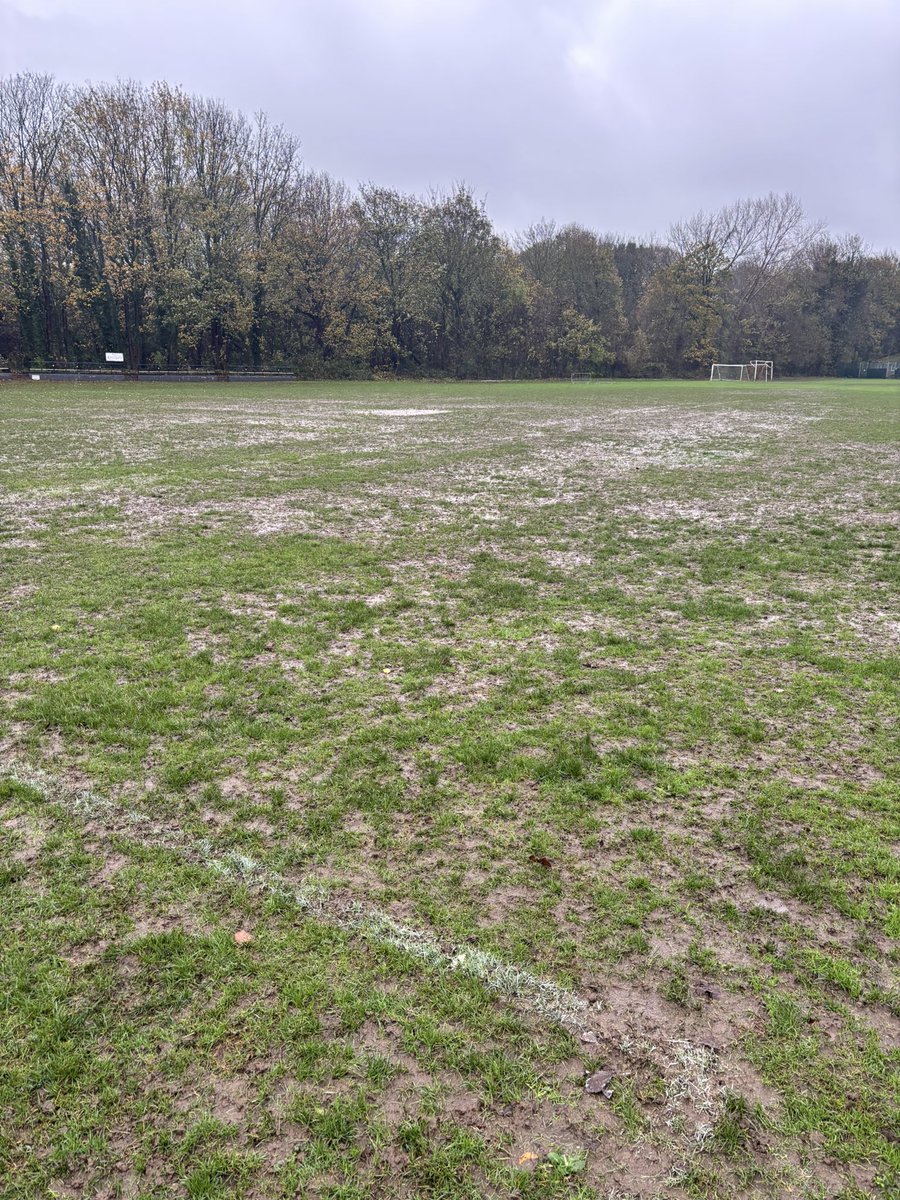 Red Lion FC (Penistone Road)©️🏆 tweet media