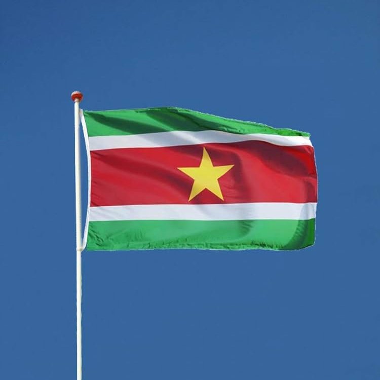 ftimee__'s tweet image. 🚨| 𝗖𝗥𝗔𝗭𝗬 𝗙𝗔𝗖𝗧: Suriname is only ONE game away from qualifying for their FIRST EVER World Cup tournament!  #WorldCupQualifiers