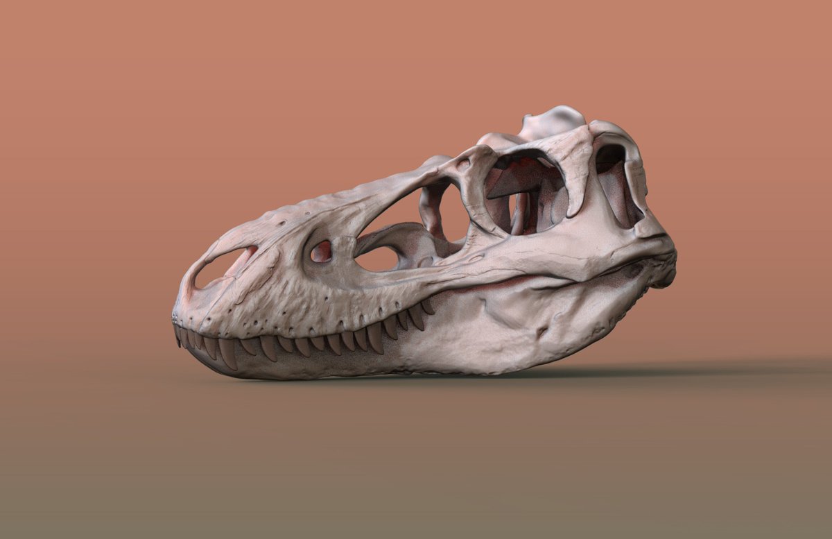 Nanotyrannus lancensis WiP  [ZBrush]
