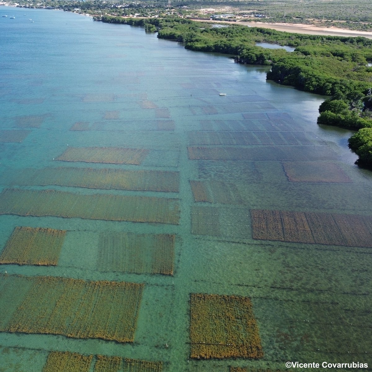 Fisheries & Aquaculture tweet media