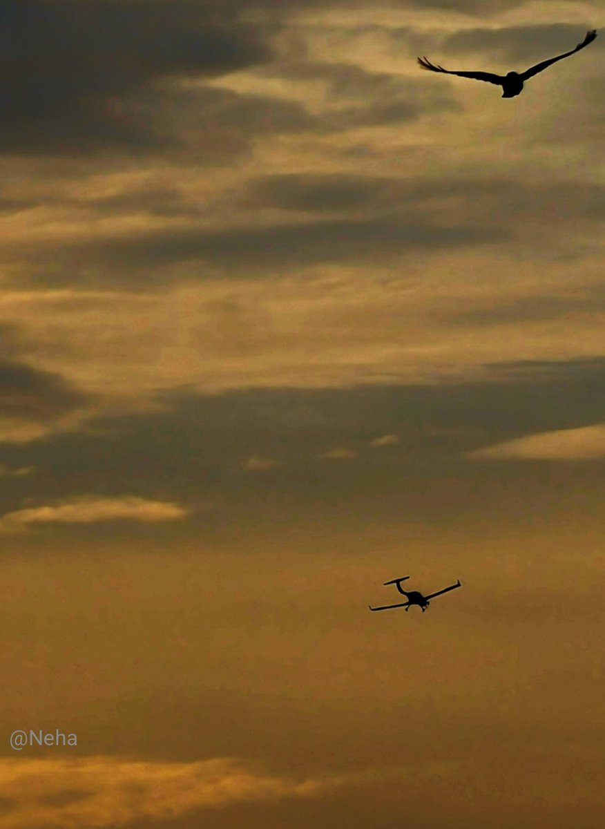 Drop your action or flying shots for Flyday Friday !! ✈️🕊️