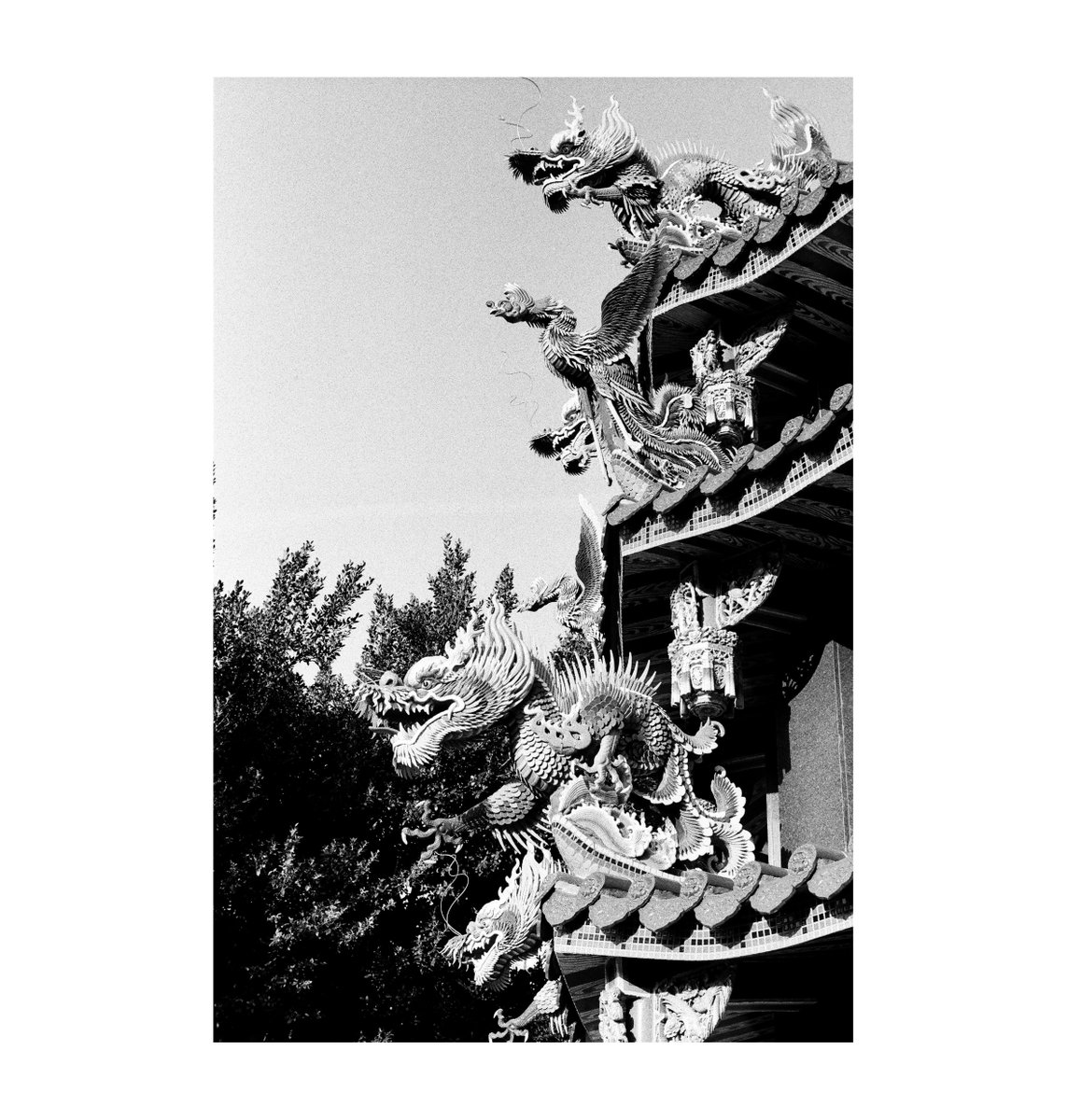 Disturb_HJB's tweet image. 補上其他幾張也是在福安宮拍攝的影像，光線穿透門簾照在地板產生的反光、回收桶裡塑膠的繩子（燒金紙前會拆下來的那個）與與金爐上的交趾陶。

#Ilford #HP5 #iso400