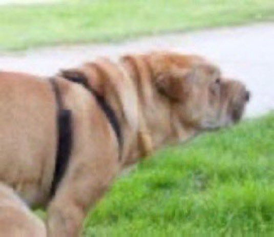 BackersGamesF's tweet image. anyways