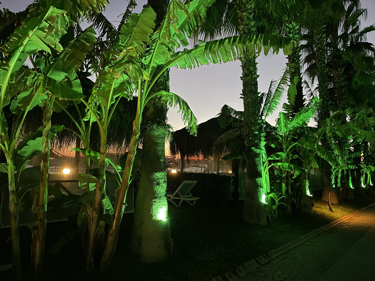 Catriona Sinclair tweet media