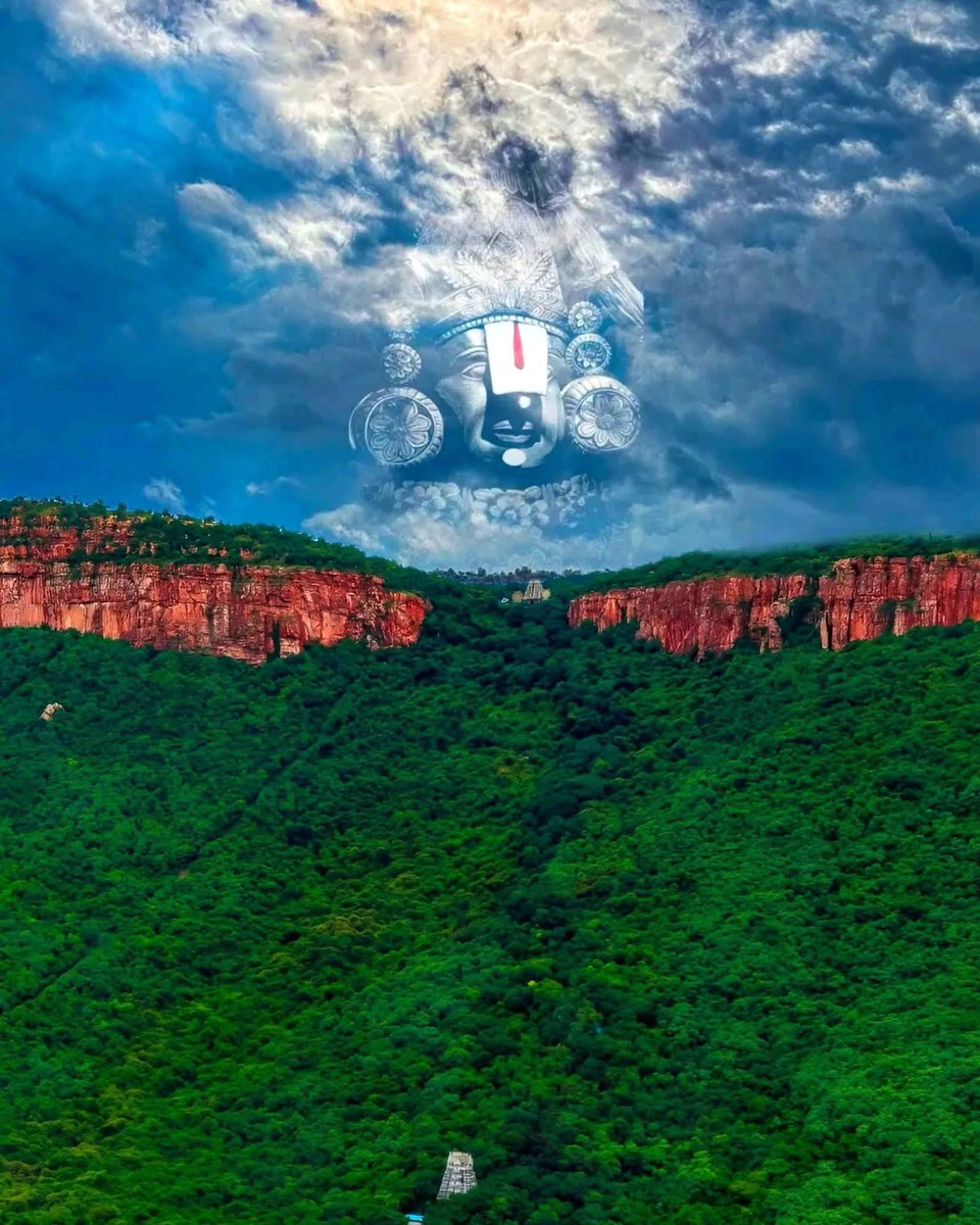 Is this what heaven looks like 🩷