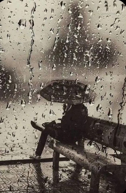 تلك النسمات البارده لا أعلم ماسر سحرها 
ولكنها تأخذنى الى عالم خيالى تجيش فيه مشاعر لا أقوى على وصفها بأى أبجديه.
#أناوالشتاء🌧️
#خواطرسمحه 💟