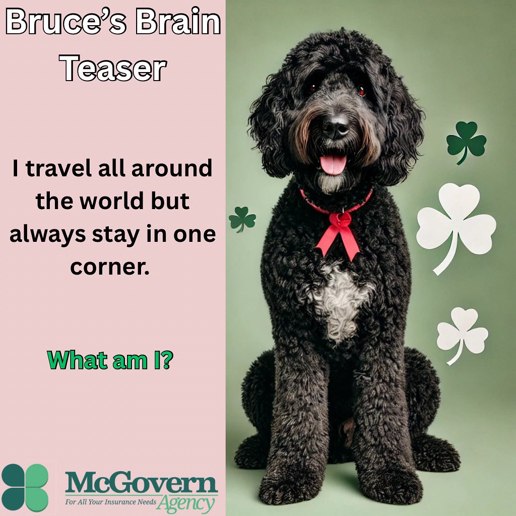 🐾Do you know the answer to Bruce’s Brain Teaser? Drop your guess below. ⬇️ #BrucesBrainTeasers #TheMcGovernAgency