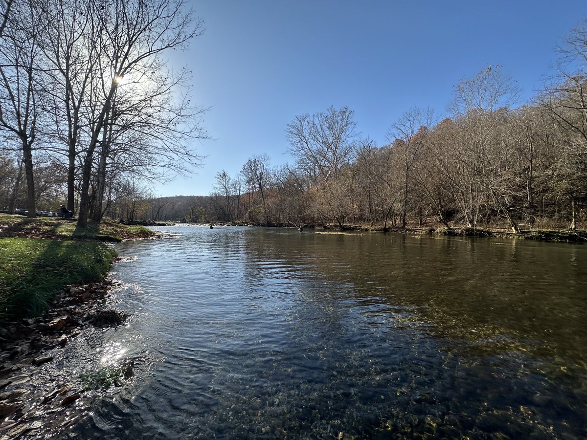 NKCChief's tweet image. Happy Friday.
#flyfish