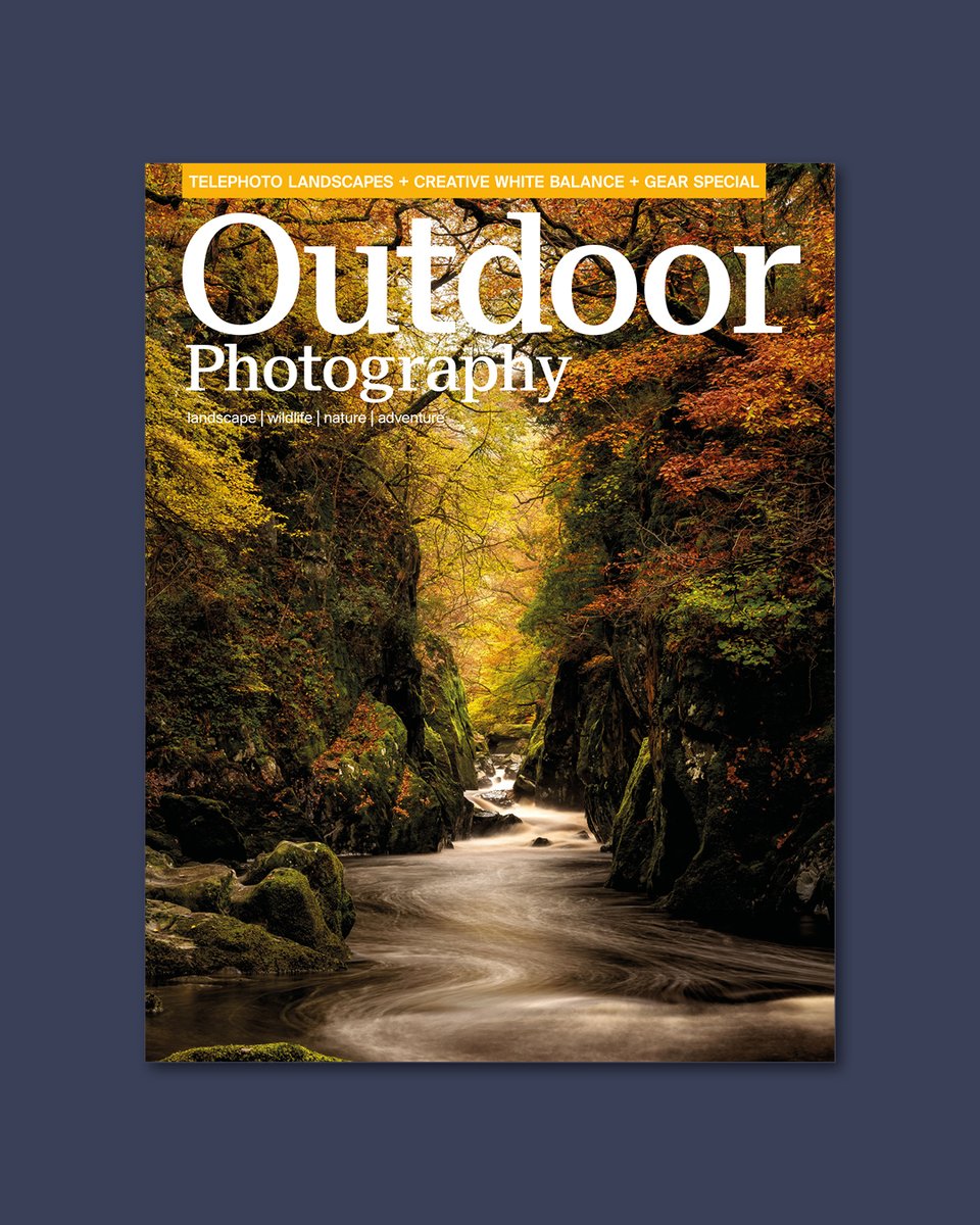 Outdoor Photography tweet media