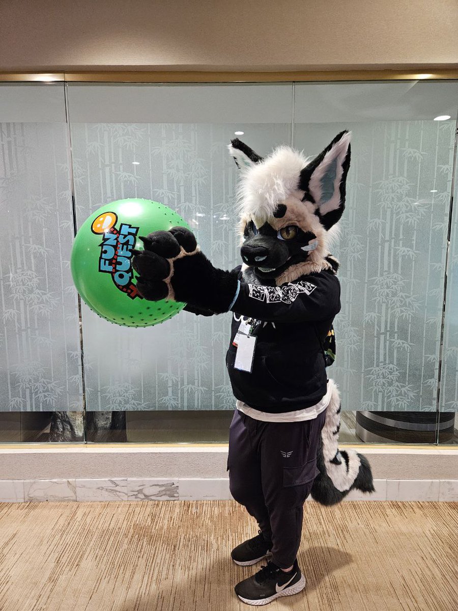 dogwaterworks's tweet photo. 🚨BREAKING NEWS ALERT🚨📢
Local clueless hyena finds a ball and doesn't know what to do with it.
Developing story.
#FursuitFriday #FursuitEveryday #hyena #yeen #furry #NOTstinky https://t.co/saIwPcdOIT