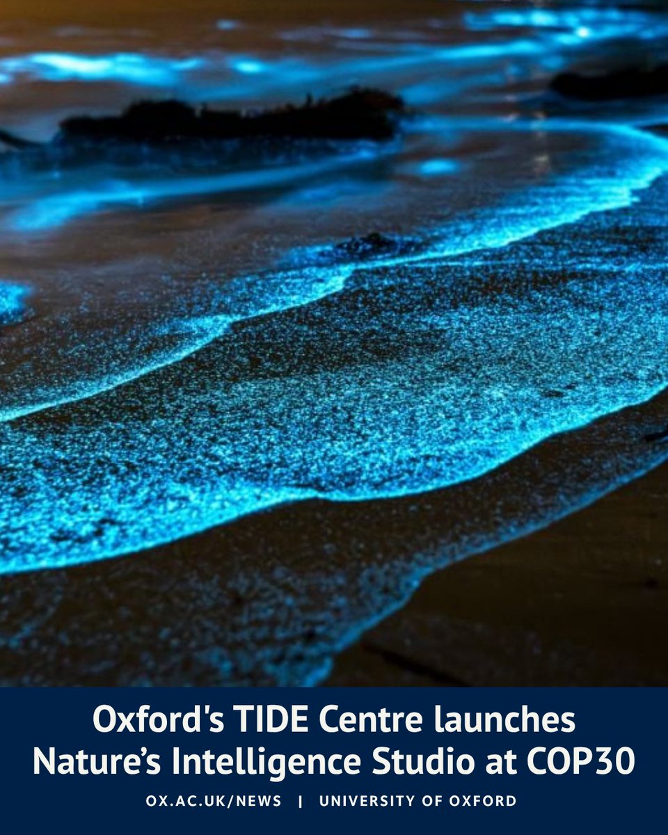 Oxford's TIDE Centre (Technology and Industrialisation for Development Centre) has launched the Nature’s Intelligence Studio, a new programme to translate principles observed in biological systems into technologies that support the energy transition and wider sustainability